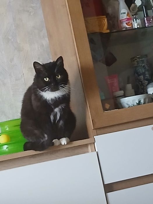 Милейшее создание!