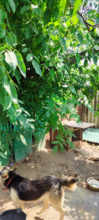 Продается частный дом