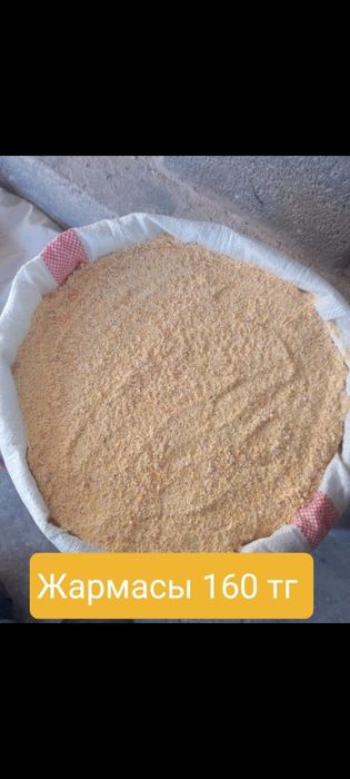 Жүгері дәні мен жармасы