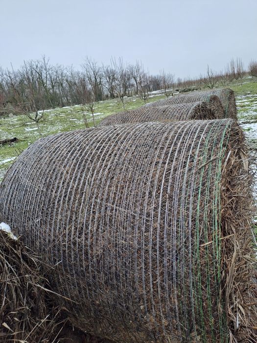 Vand Baloti Lucerna Coasa 1