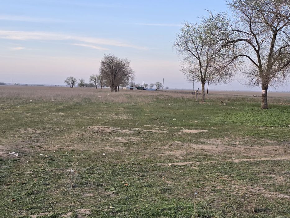 Участок Каратобе, рядом БАКАД, Ельтай, Береке, Исаево