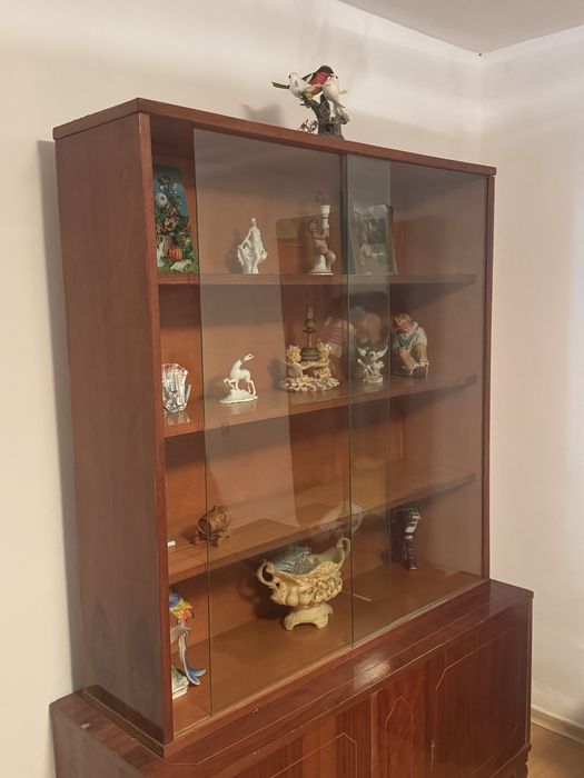 vitrina din sticla si pal