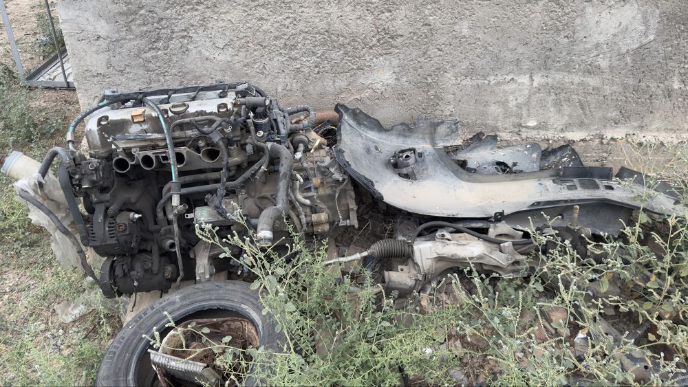 Honda elysion на запчасти