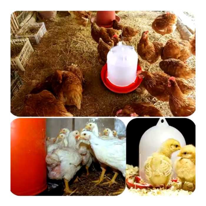 Автоматична поилка за птици W 11 L (К-КТ / 10 БР)