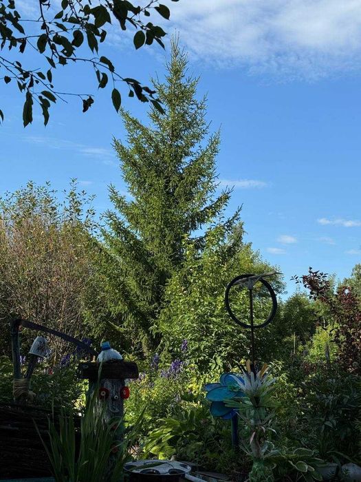 Продам отличную дачу