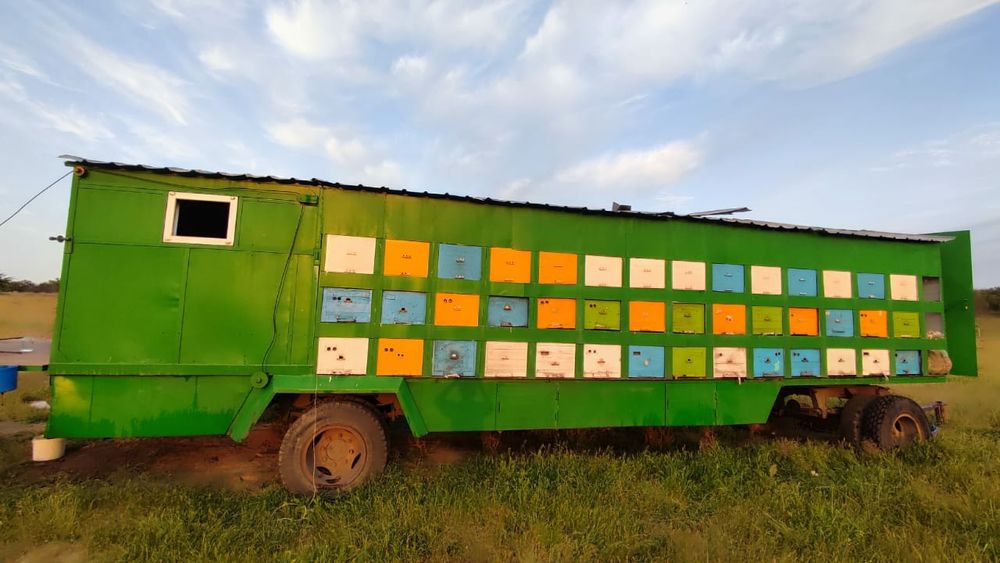 Пчелопавельон, пчелоприцеп,прицеп