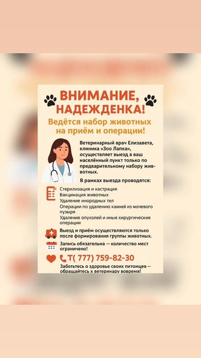 Ветеринарные услуги