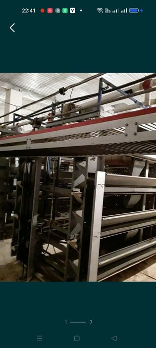 Продам срочно клеточное