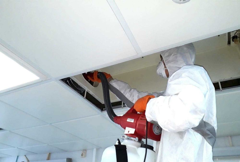 Дезинфекция Dezinfeksiya 24/7 обработка клоп, таракан, запахи, плесень