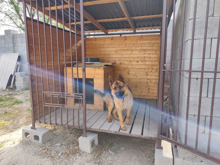 Продам вольер с овчаркой