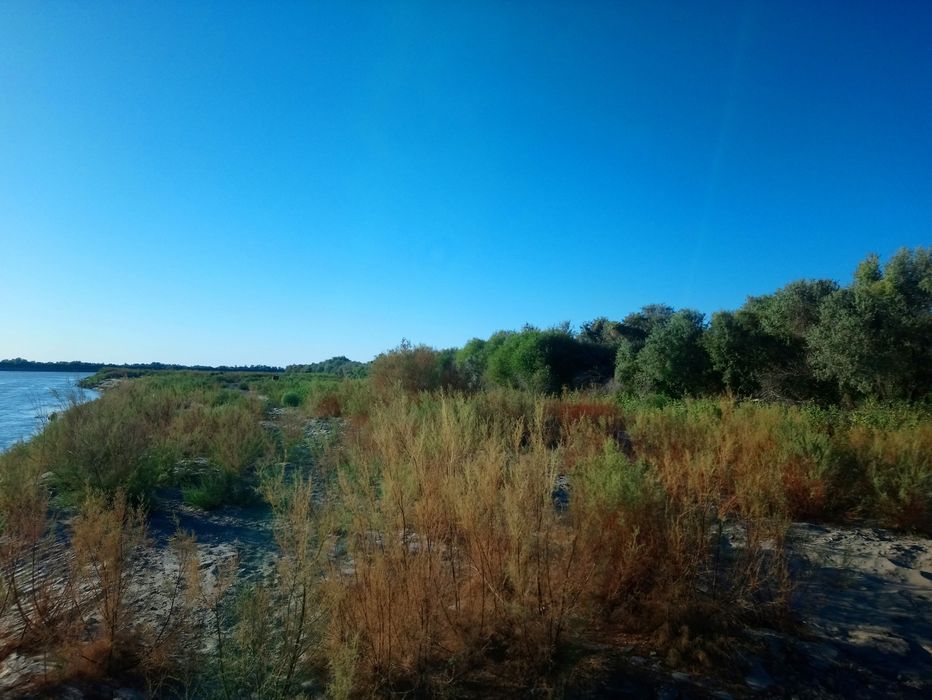 5 гектар жер сатылады