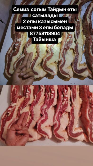 Продам согым конина