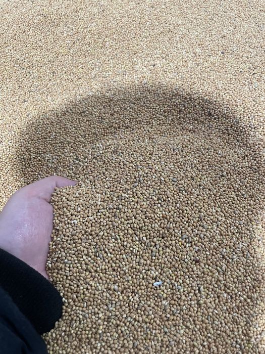 Комбикорм/Тары/Пшеница/Пшено