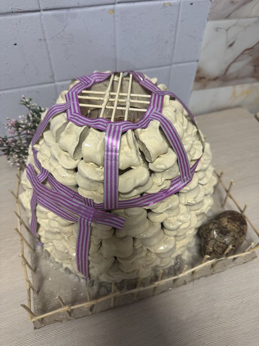 Юрта из асык. Асықтан жасалған киіз үй