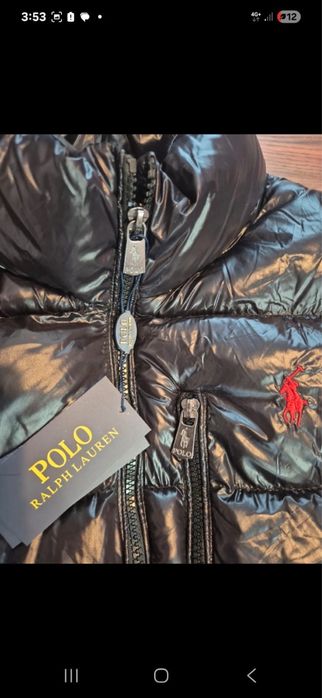 Vesta lucioasa neagra