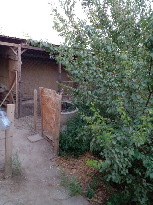 Часный дом в районе шанхая