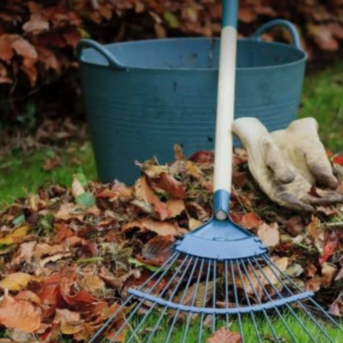 Уборка территории.Спил деревьев.Скос травы.