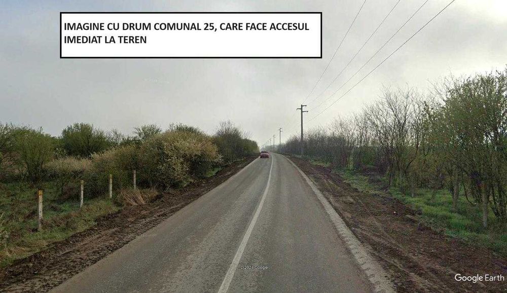 Proprietar - Teren intravilan Clinceni - 15.070 mp - 14 euro/mp