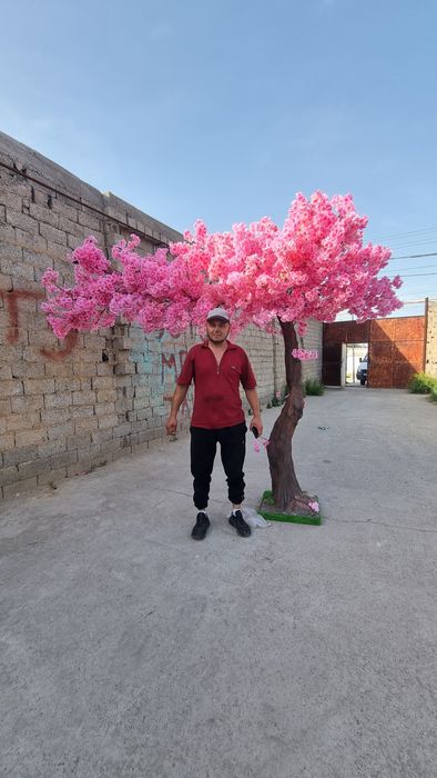 Yapon daraxti sakura yasab beramiz