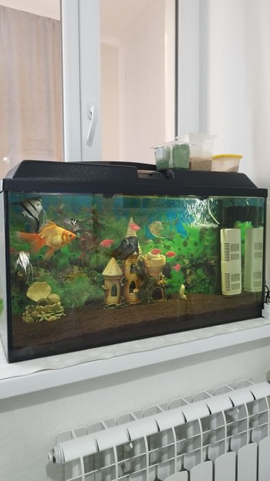 Продам аквариум 100л
