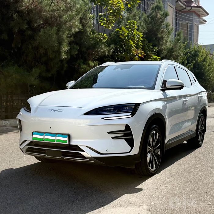 BYD Champion 605 Restaling full srochna