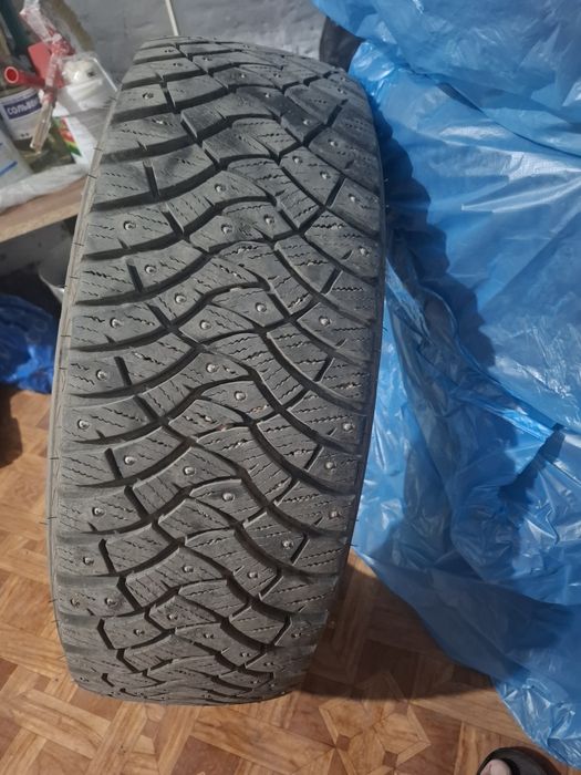 Шины зимние шипованные DUNLOP