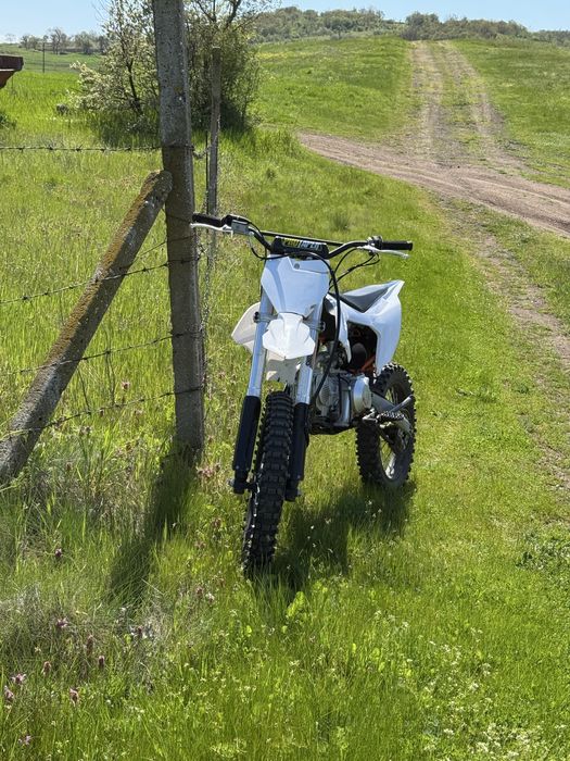 Telstar 160 cc 2025