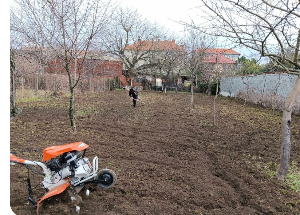 Defrișări vegetatii, intretinere,spații verzi