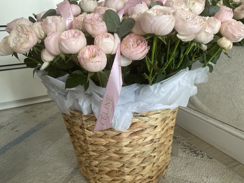 Цветы Пионы кустовые