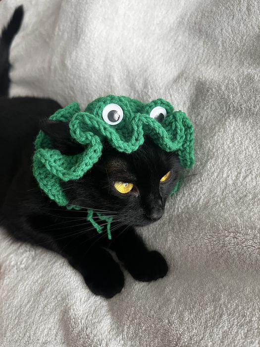 Palarie broscuta pentru pisica handmade