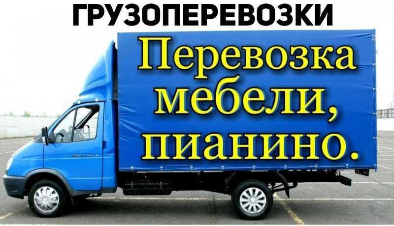 Газель по горогород и области.