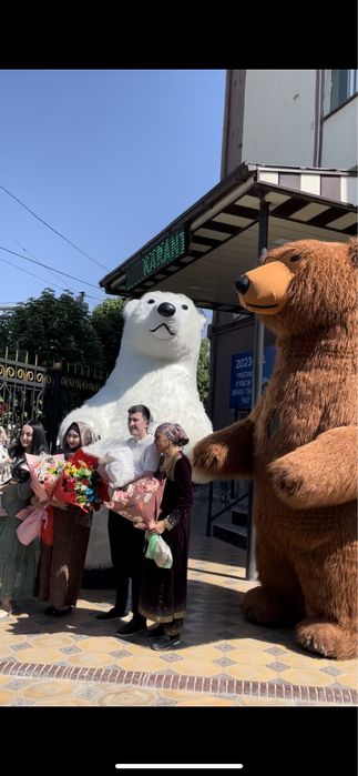 Mishkalar xizmatda Самарканд! Услуга аниматора ayiqcha mishkacha teddi