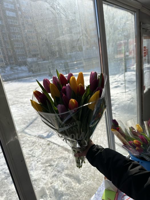 Тюльпаны большие, оптом и в розницу