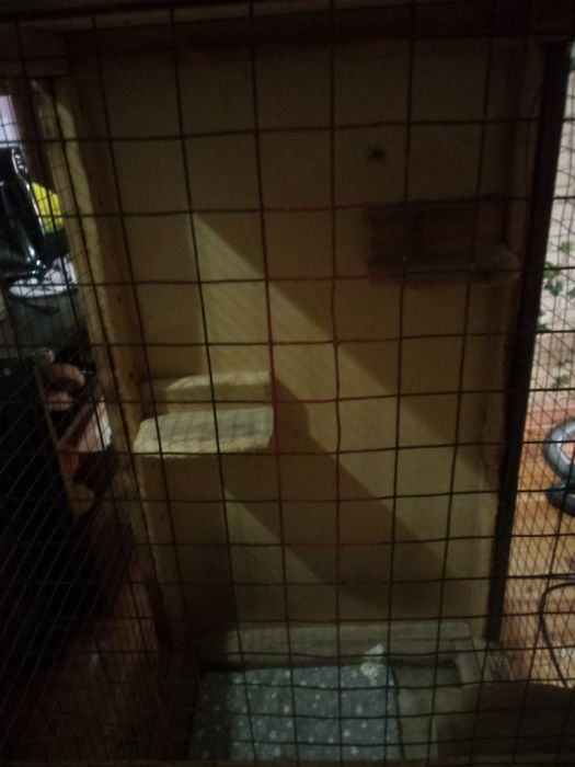 Клетка для животных