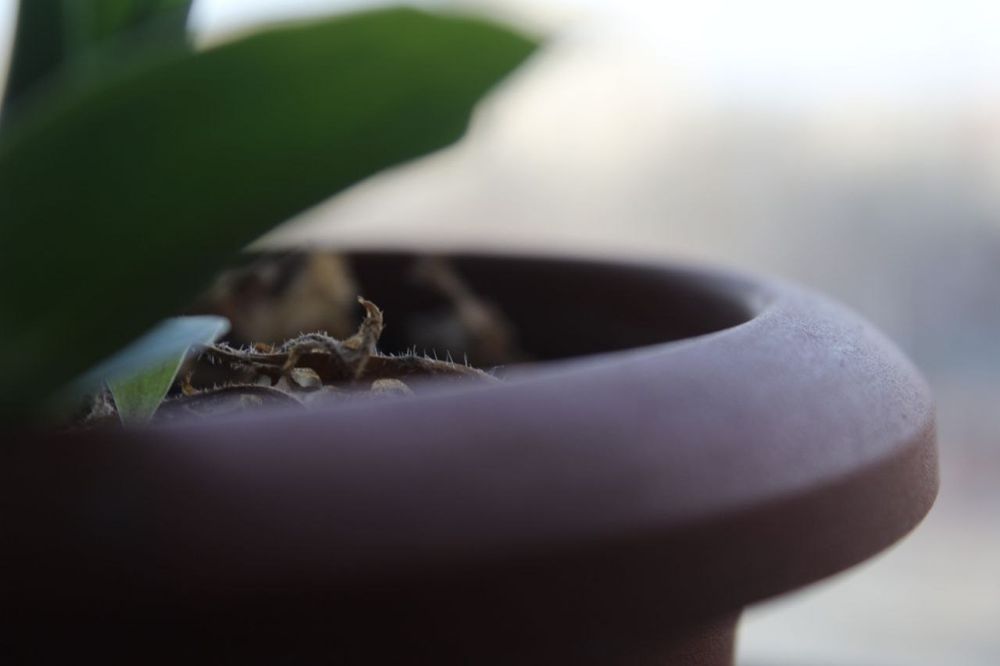 Фотоаппарат Canon EOS 600D