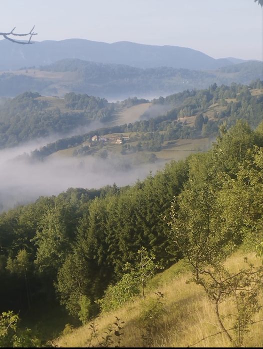 Teren intravilan + casa + cabana + teren Extravilan 1,4Hectare