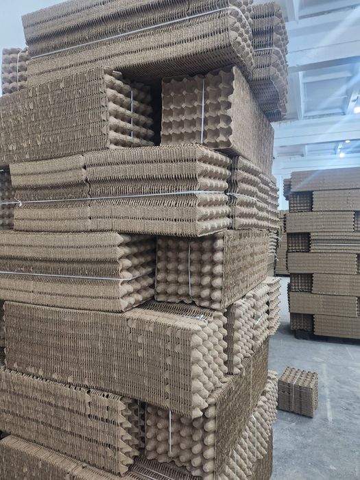 Флейка для яйц с новым оборудованием и качеством