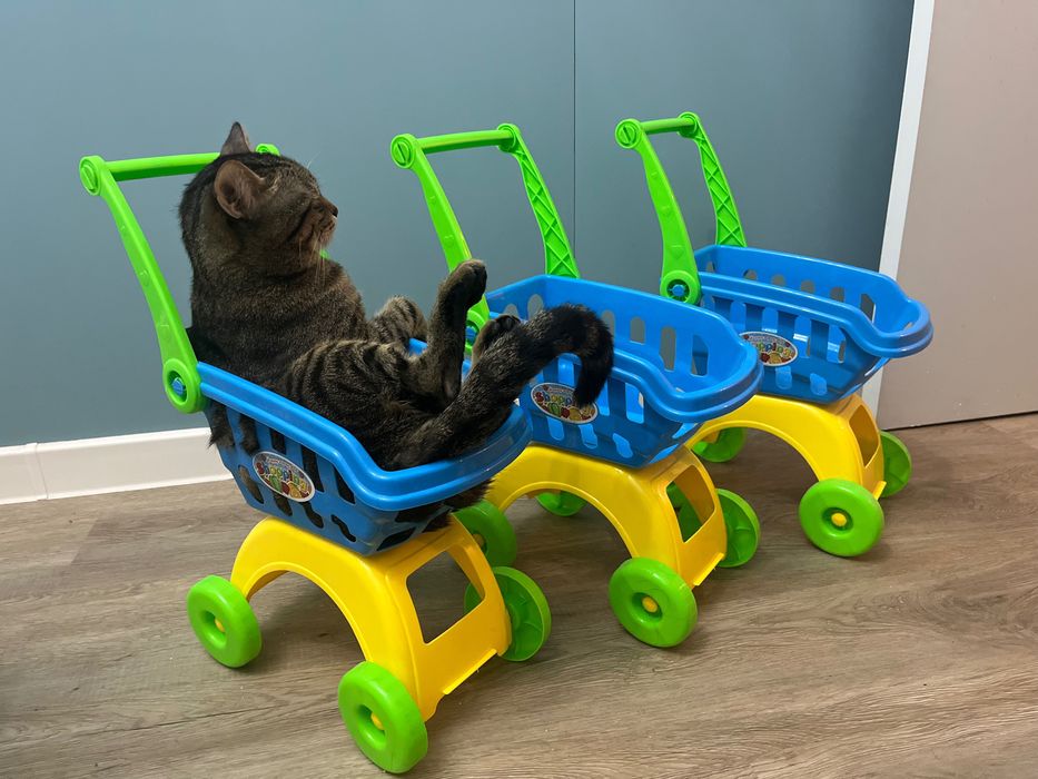 Детская тележка для