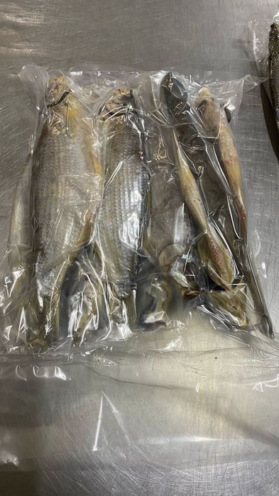 Рыбец вяленый продаю