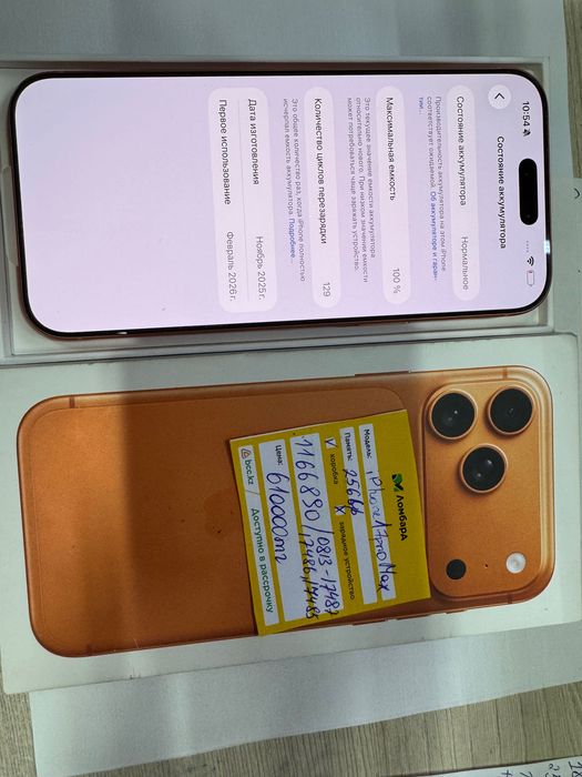iPhone 17 pro max 256 gb 100% гЖанатас 3 мкр 31 дом лот 1166/890