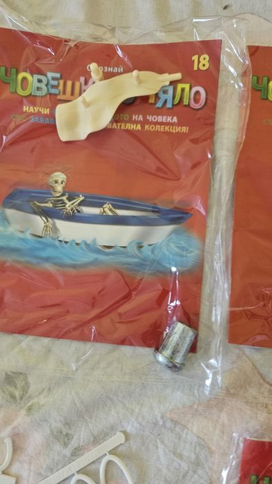 Опознай човешкото тяло