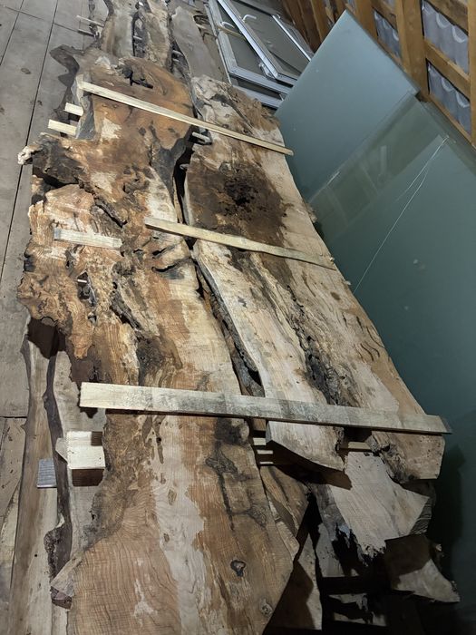 Blaturi de masa nuc stejar frasin salcam