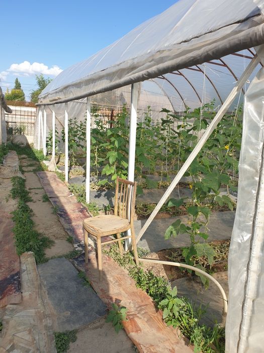 Теплица в комплекте