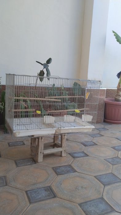 Кафас сотилади Продается Клетка.