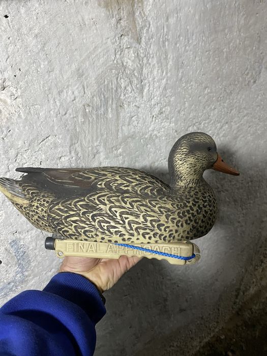 Продам чучела уток.