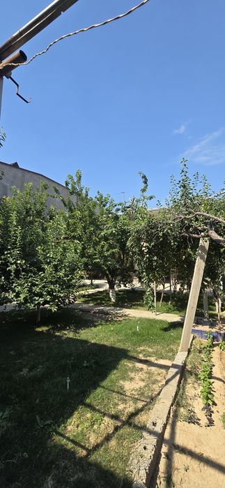 Дурмон цен.6,сот.6,хона.
