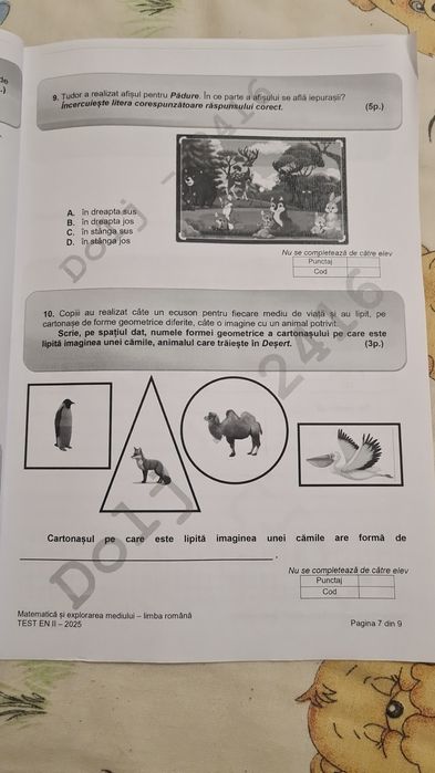 Ajutor la teme învățământ primar