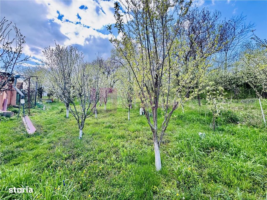 Casa individuala de vanzare in Nucet | Rosia | teren 747 mp | livada,