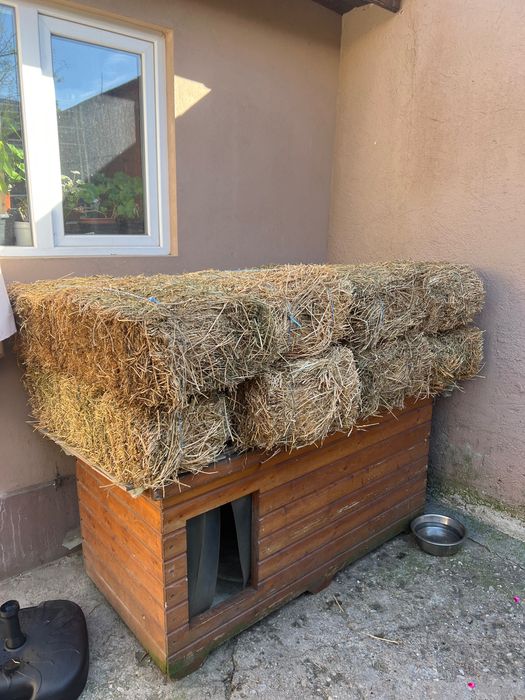 Baloți lucernă și fan