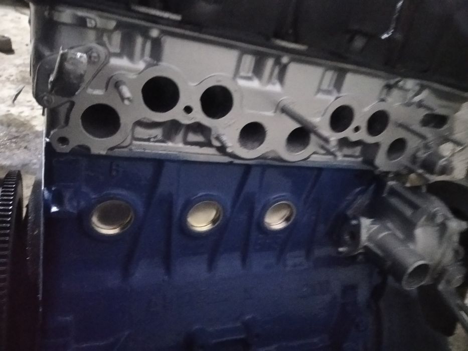 Matorga jovob qoʻyib yurib korasla